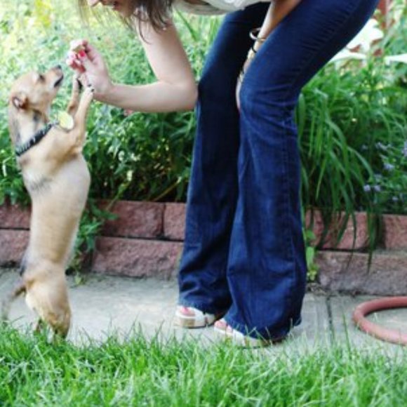 Joe's Jeans Denim - Dark Joe's Jeans